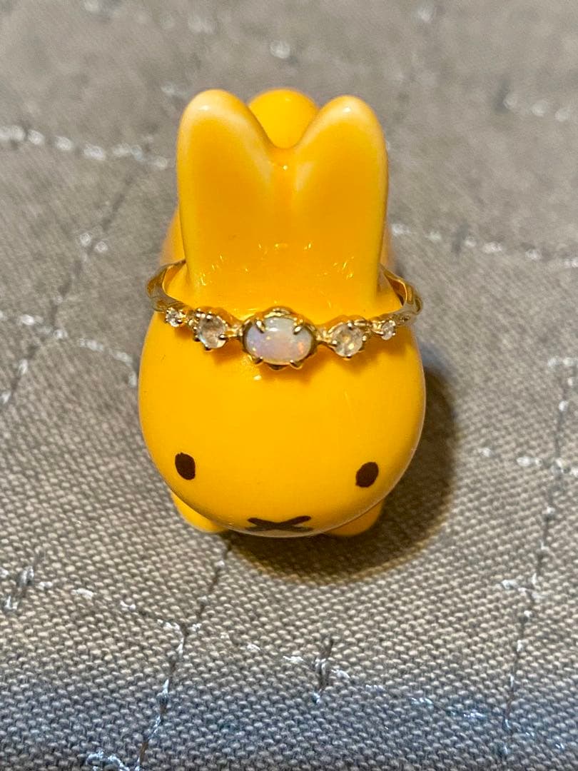 限定品のノジェスのイヤーカフとリングのセット➕ネックレス