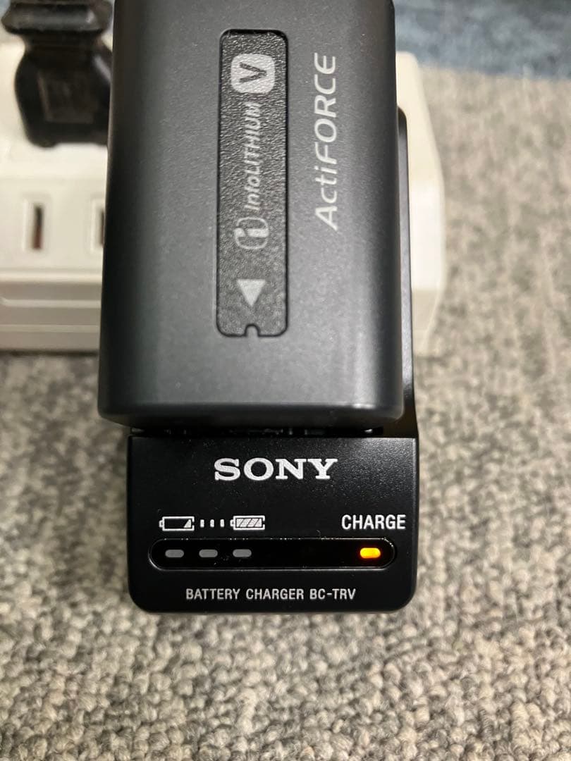 SONY HDR-CX590 デジタルビデオカメラ バッテリー・充電器・収納袋付
