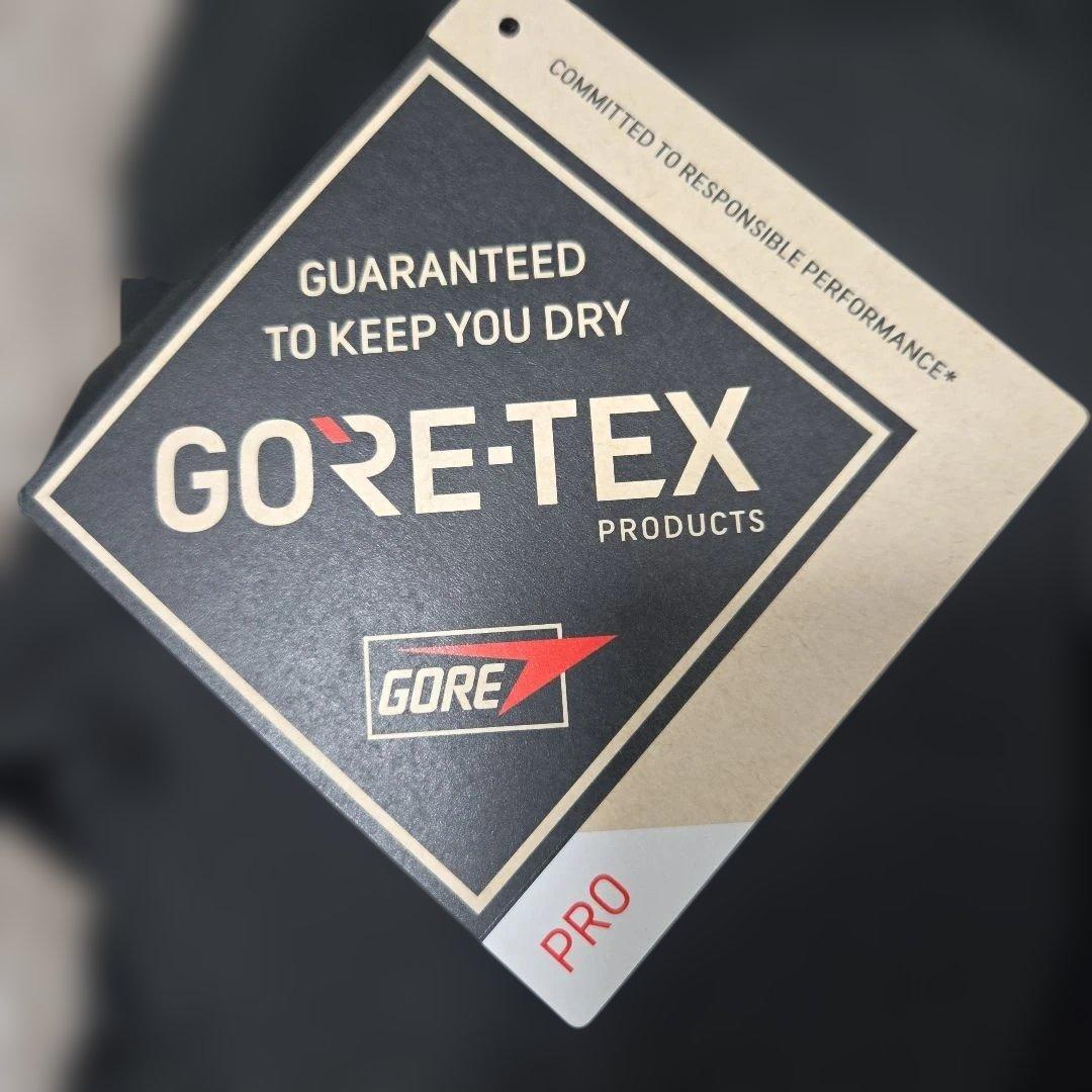 ☆グリフィン☆　アークテリクス　ベータARジャケット