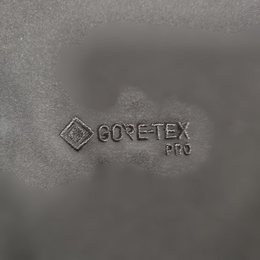 ☆グリフィン☆　アークテリクス　ベータARジャケット