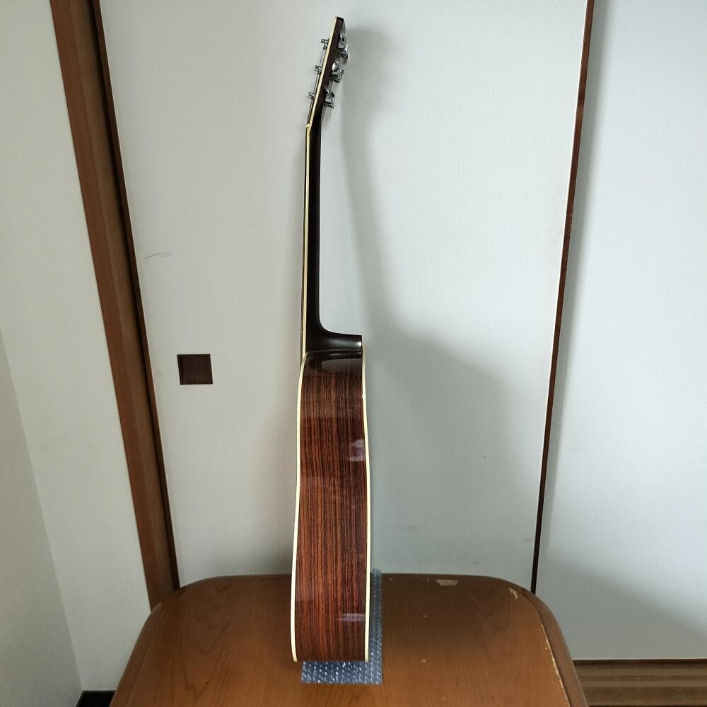 ProMartin W-250 プロマーティン 縦ロゴ アコースティックギター