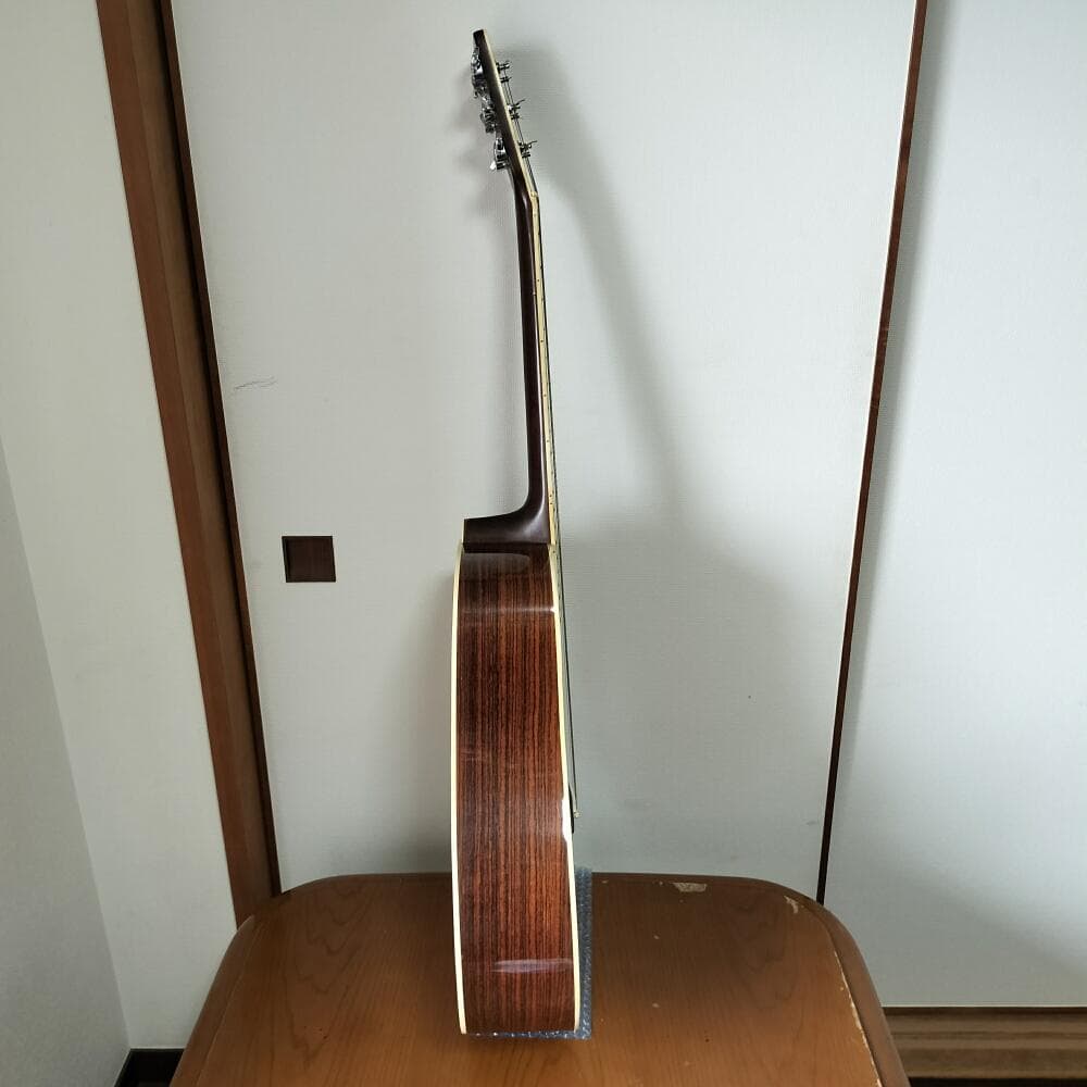 ProMartin W-250 プロマーティン 縦ロゴ アコースティックギター