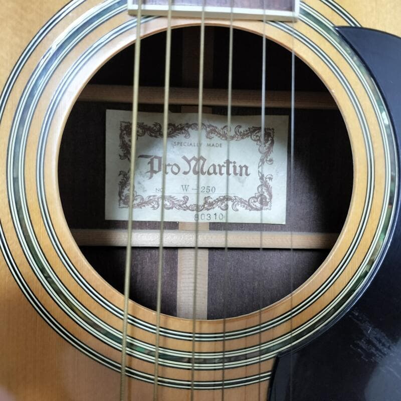 ProMartin W-250 プロマーティン 縦ロゴ アコースティックギター