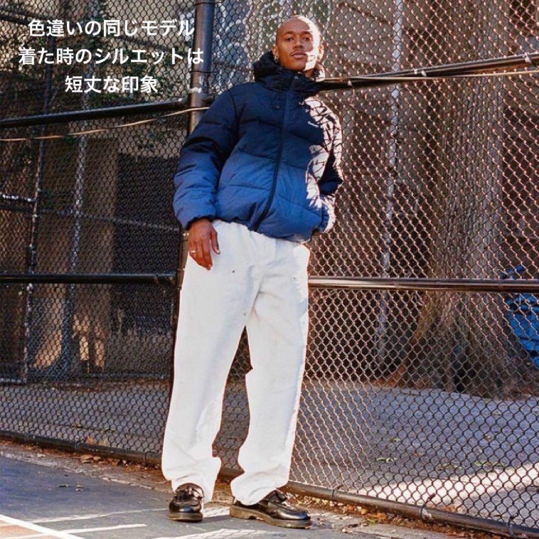 OnlyNY グラデーションダウンジャケット Lサイズ 現地購入