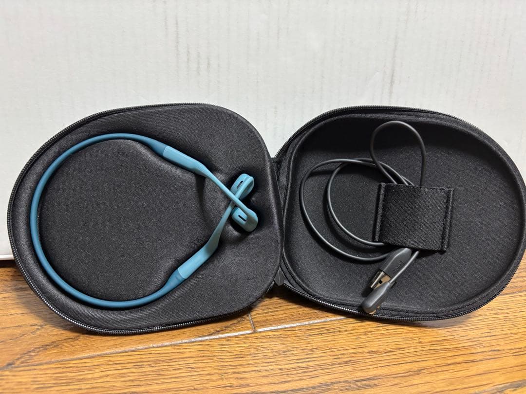 イヤホン SHOKZ OPENRUN PRO BLUE S810