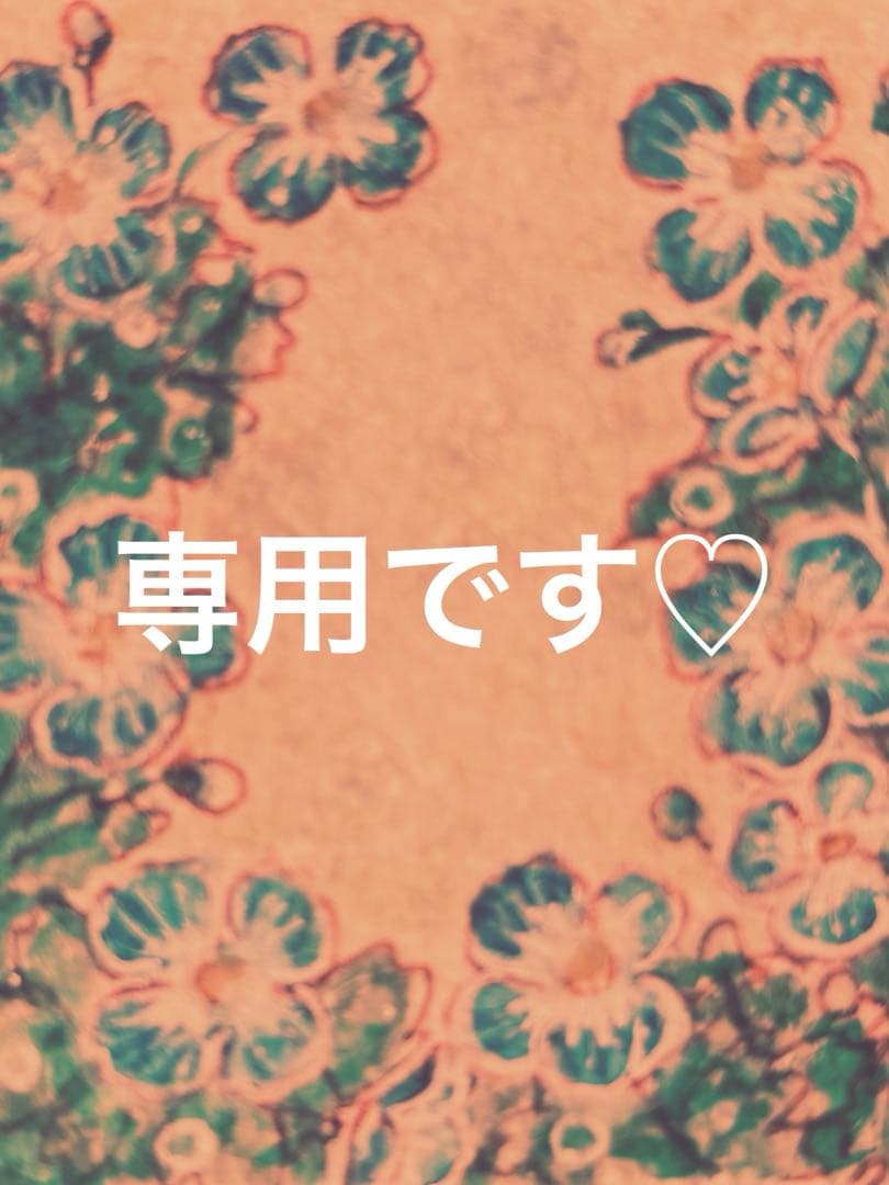 専用です(*'ω'*)