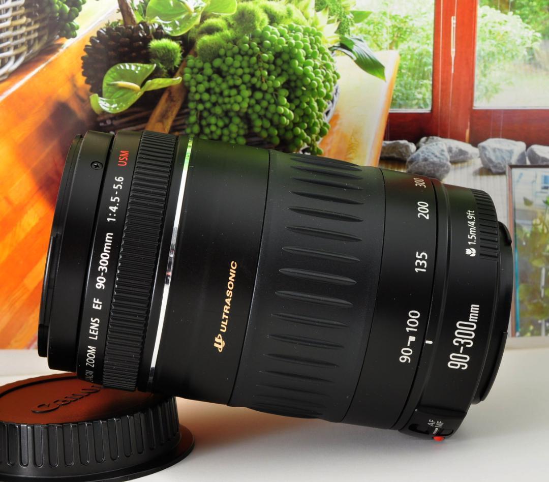 望遠レンズ Canon キヤノン 迫力の90-300mm レンズフード付き！