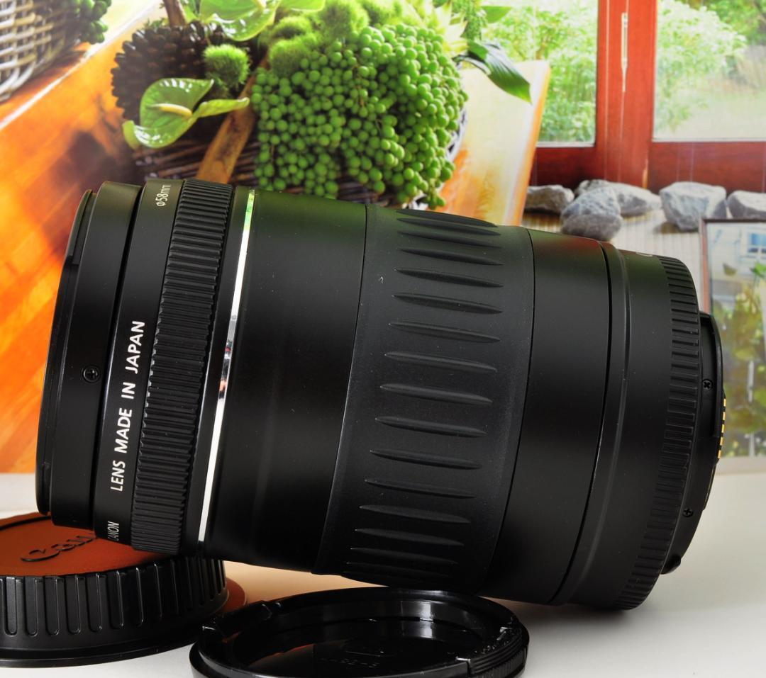 望遠レンズ Canon キヤノン 迫力の90-300mm レンズフード付き！