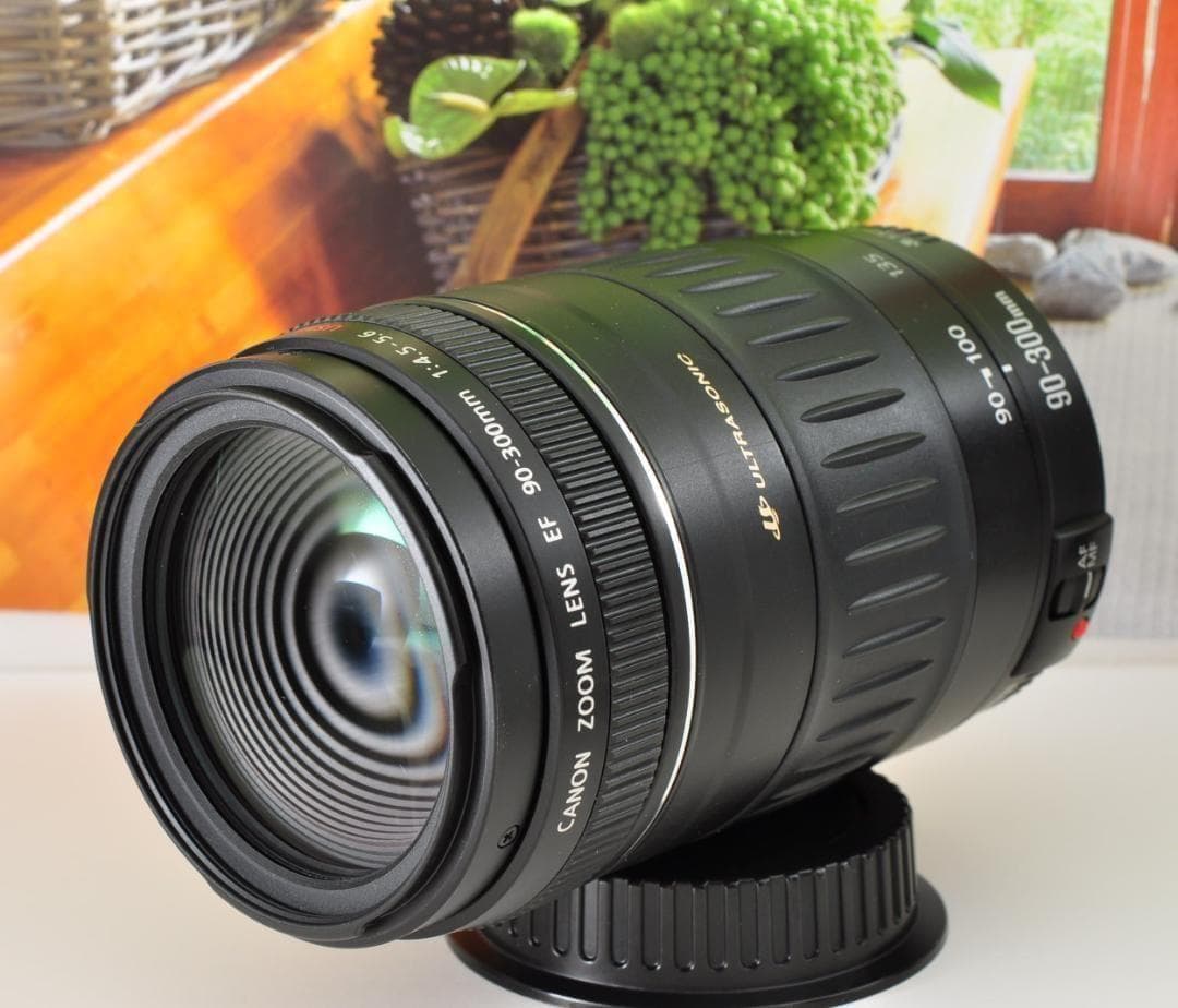 望遠レンズ Canon キヤノン 迫力の90-300mm レンズフード付き！