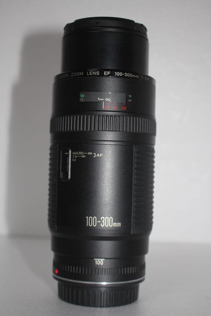 超望遠レンズ☆迫力300㎜☆キャノン Canon EF100-300㎜