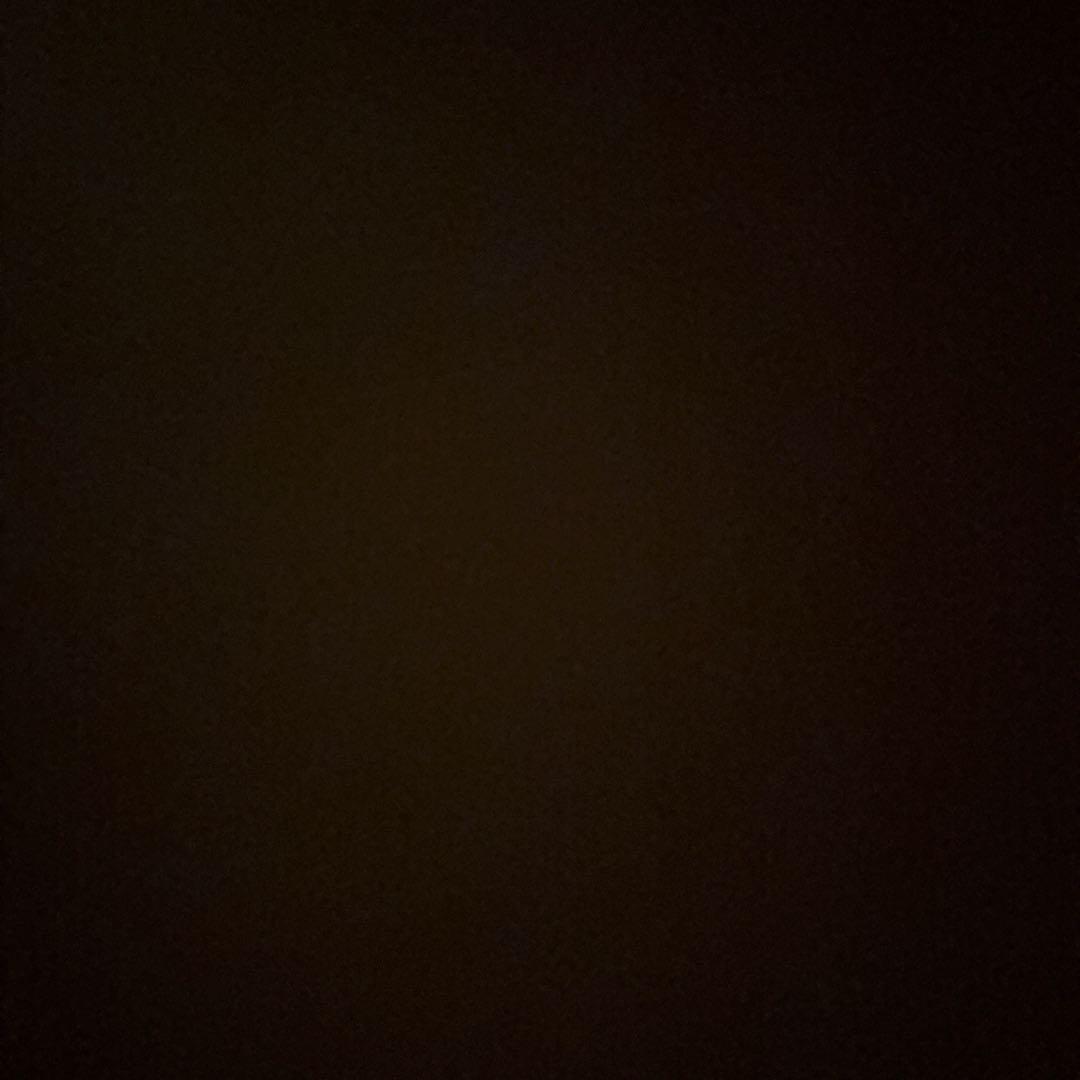 りの【C DIEMカルペディエム】リバーシブルモッズコート　M/L