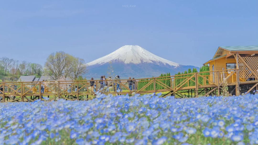 Kyami ♡ブラック メッセンジャ