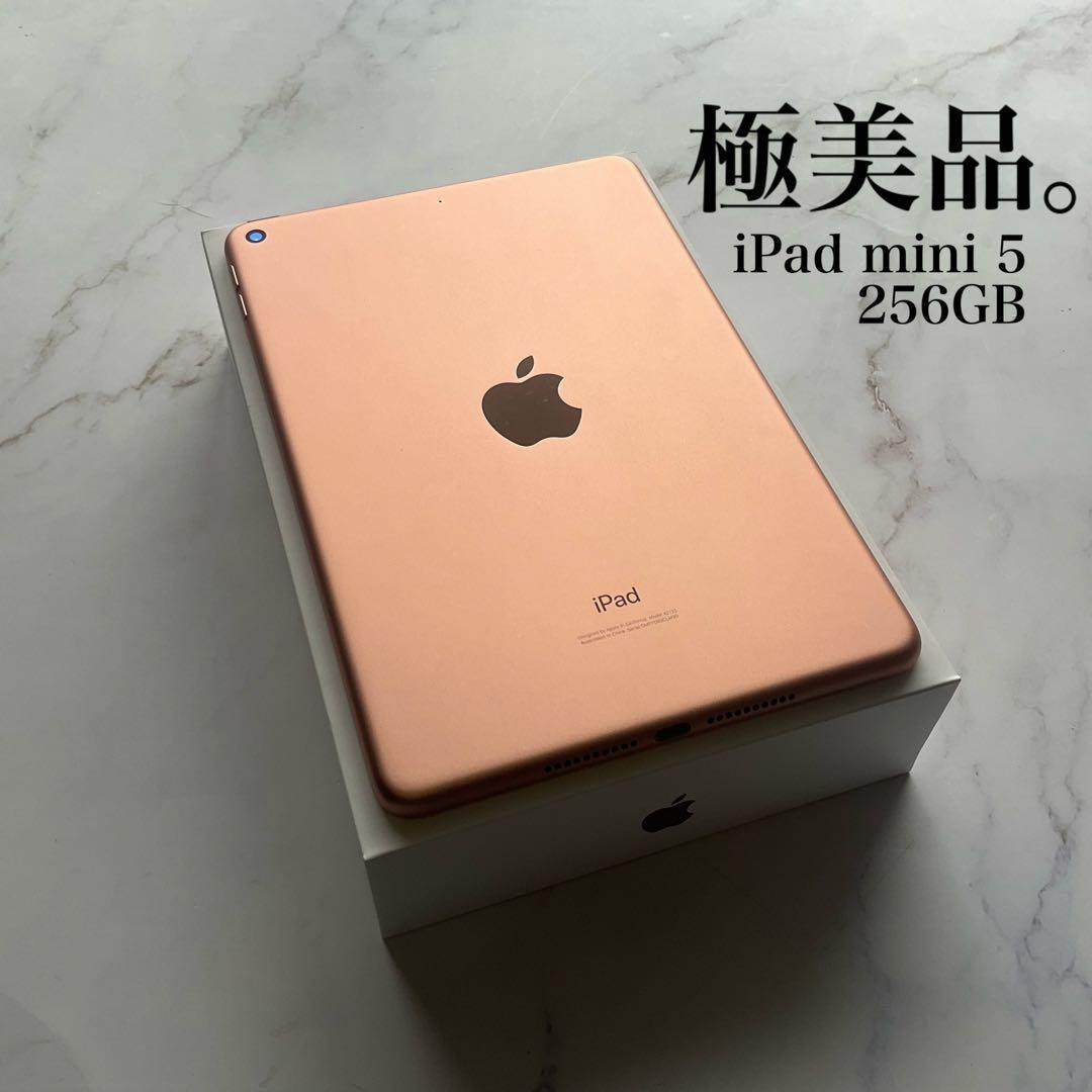 【極美品】Apple iPad mini 第5世代 5 Wi-Fi 256GB
