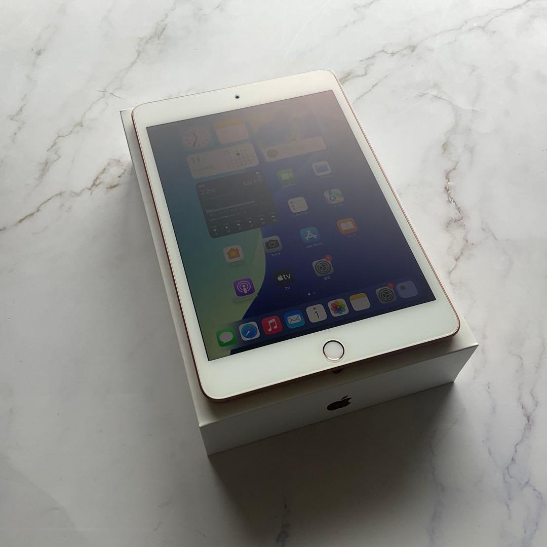 【極美品】Apple iPad mini 第5世代 5 Wi-Fi 256GB