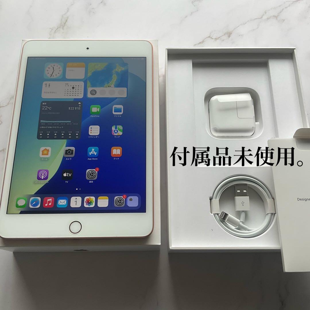 【極美品】Apple iPad mini 第5世代 5 Wi-Fi 256GB