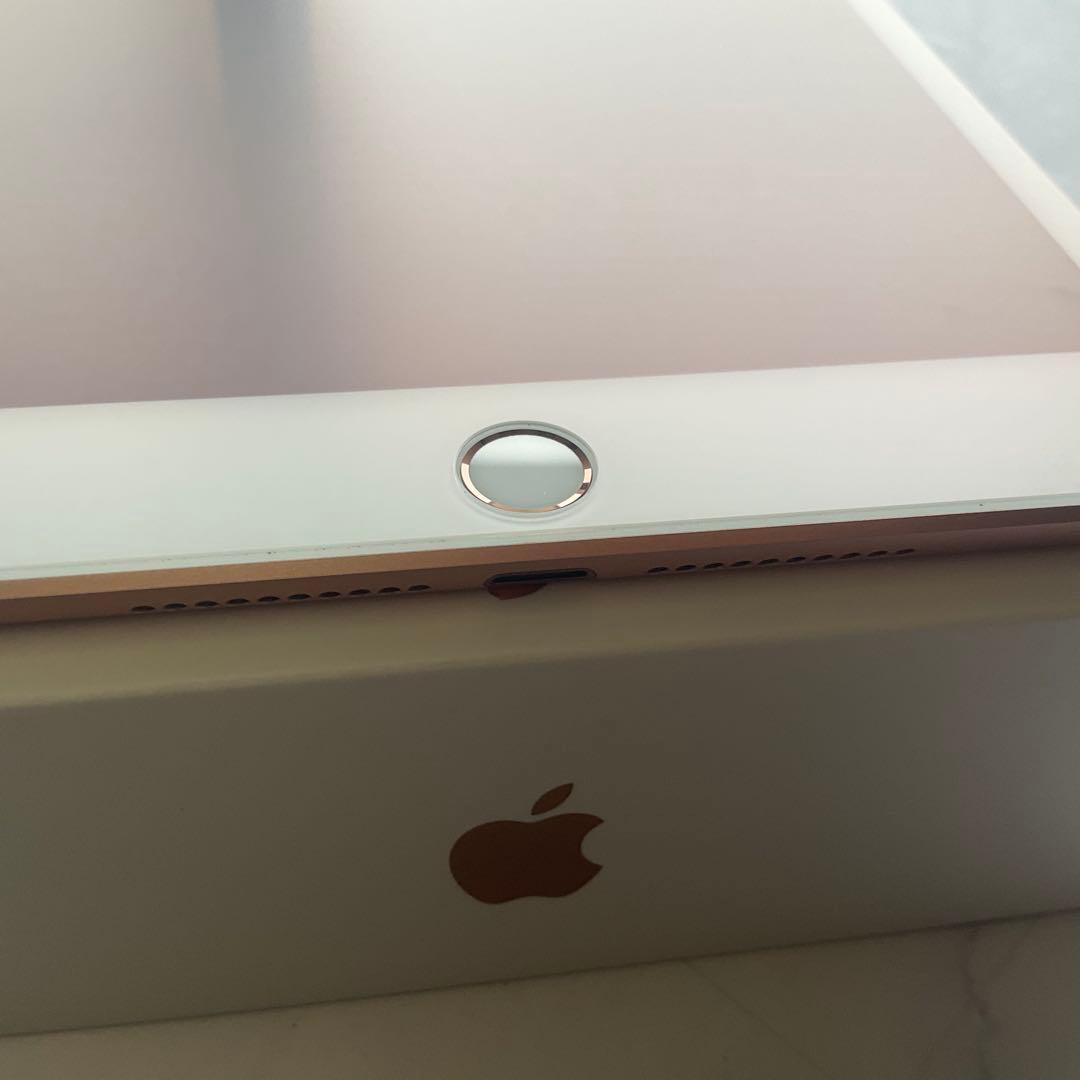 【極美品】Apple iPad mini 第5世代 5 Wi-Fi 256GB