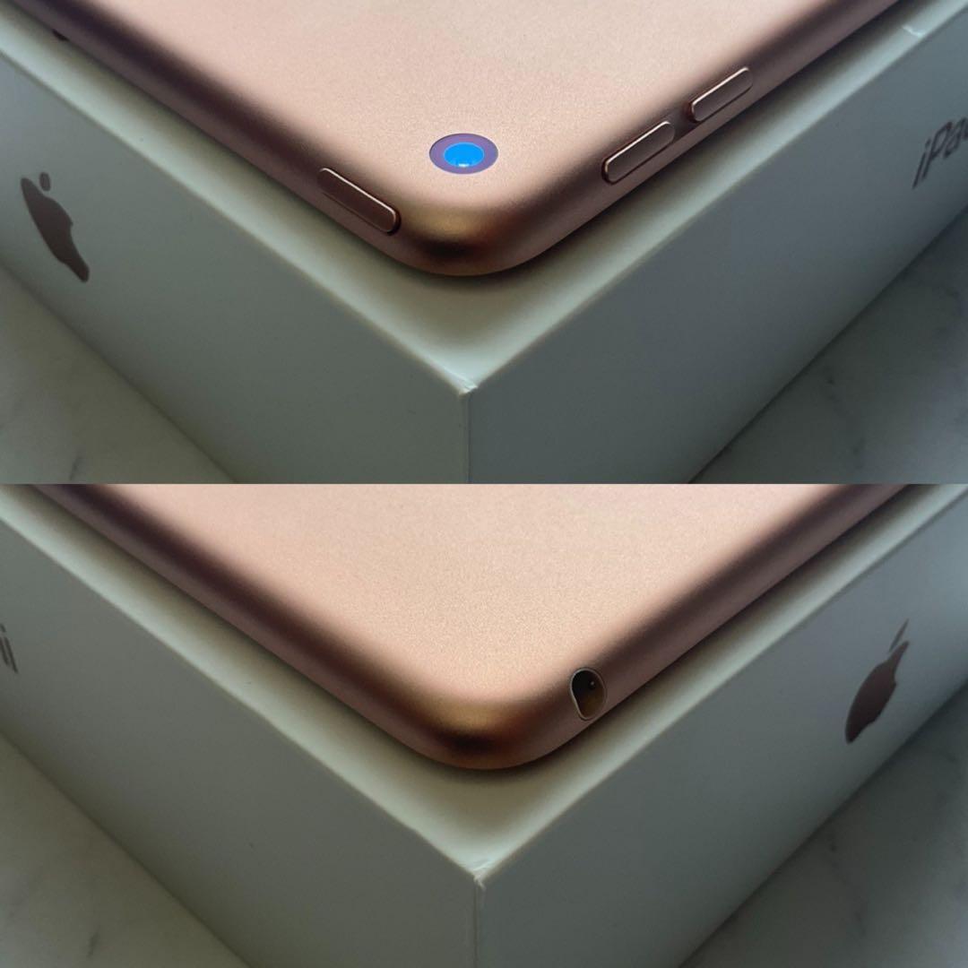 【極美品】Apple iPad mini 第5世代 5 Wi-Fi 256GB