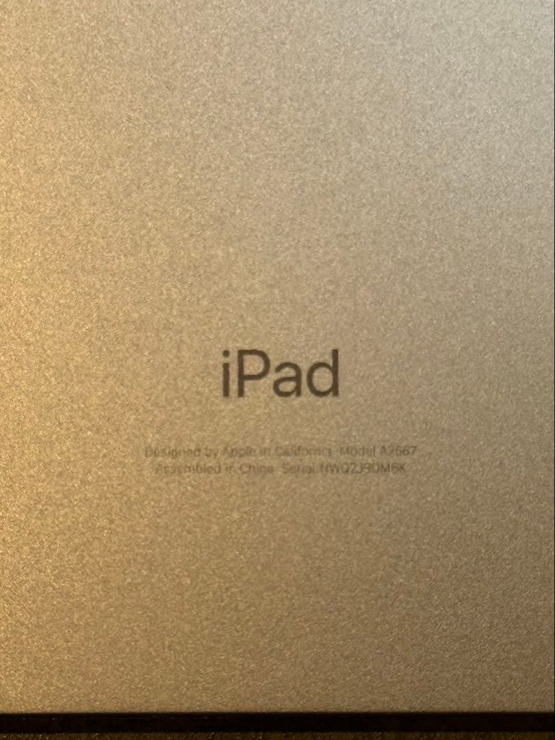 ジャンク美品 iPad mini6 64GB Wi-Fi ペンシル付 ケース付