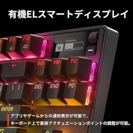 SteelSeries ゲーミングキーボード テンキーレス 有線 64856