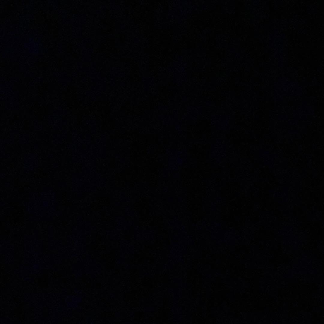 リン　　　ビンテージバッグ