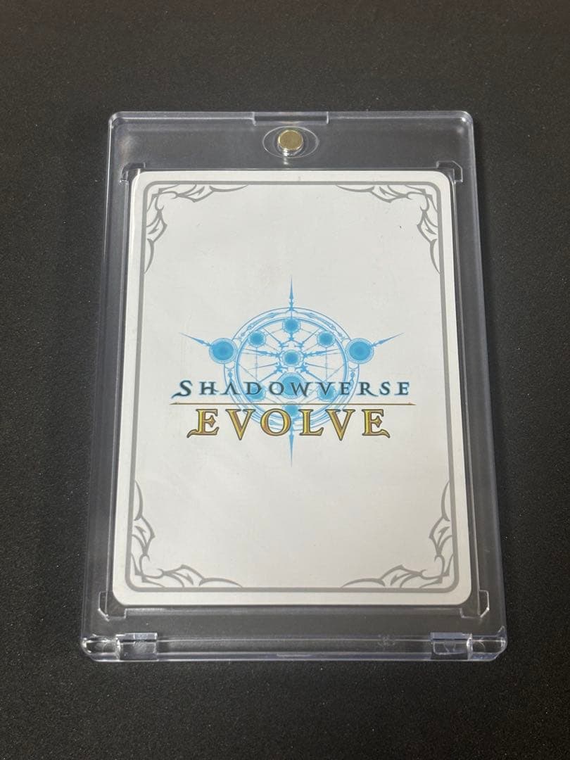 第五の絶傑・ガルミーユ リーダーカード シャドウバースエボルヴ