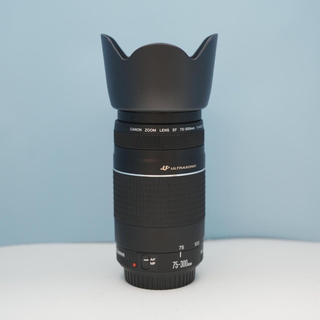 Canon純正 75-300mm 望遠レンズ 美品 a3878
