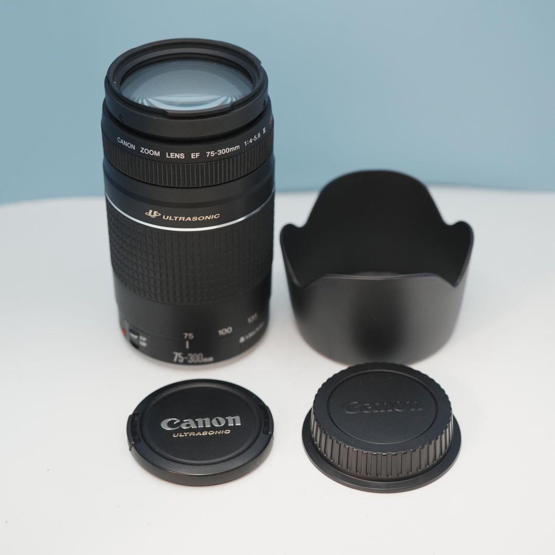 Canon純正 75-300mm 望遠レンズ 美品 a3878