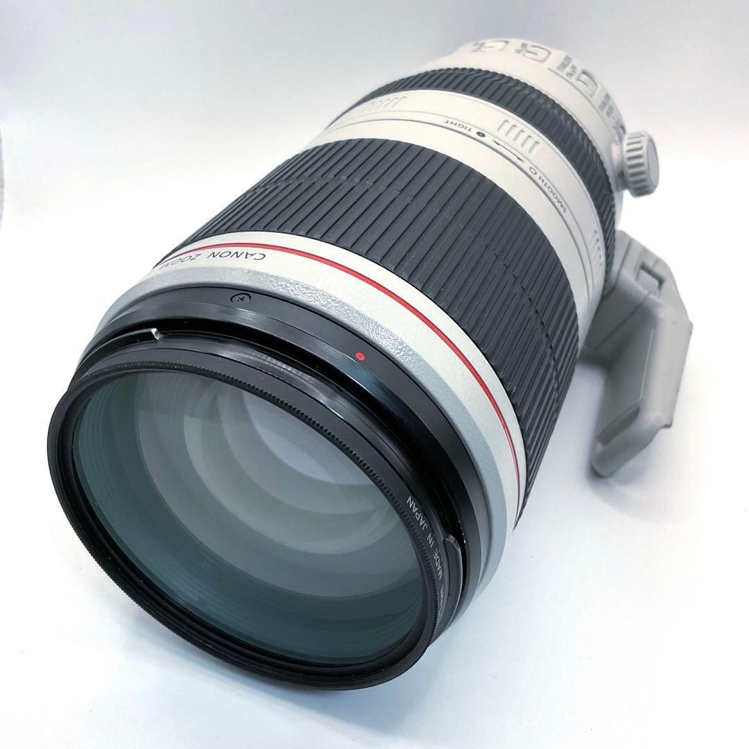 レンズ(ズーム) Canon EF100-400mm F4.5-5.6L IS II USM 02