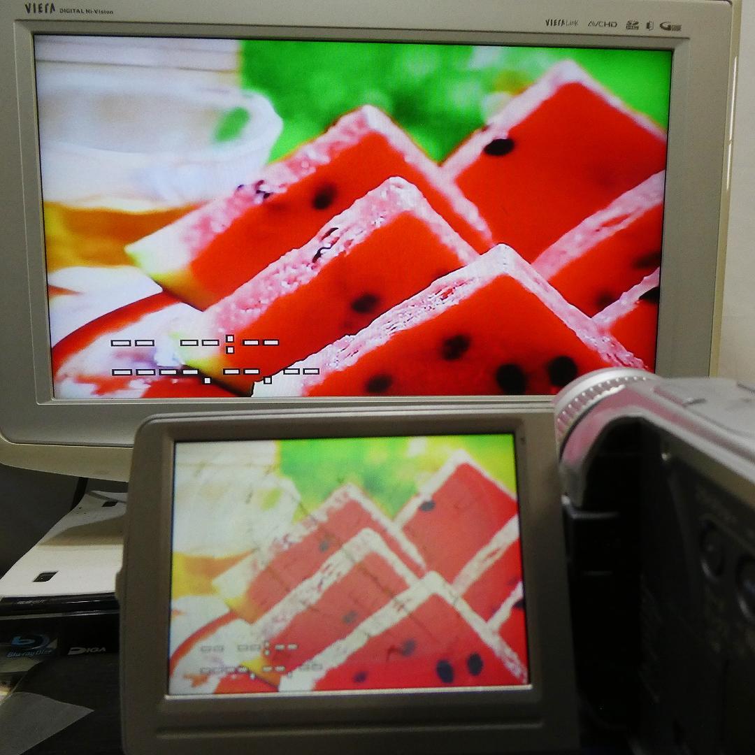 動作良好 キャノン DM-FV M10 MiniDVビデオカメラ DVD化に最適