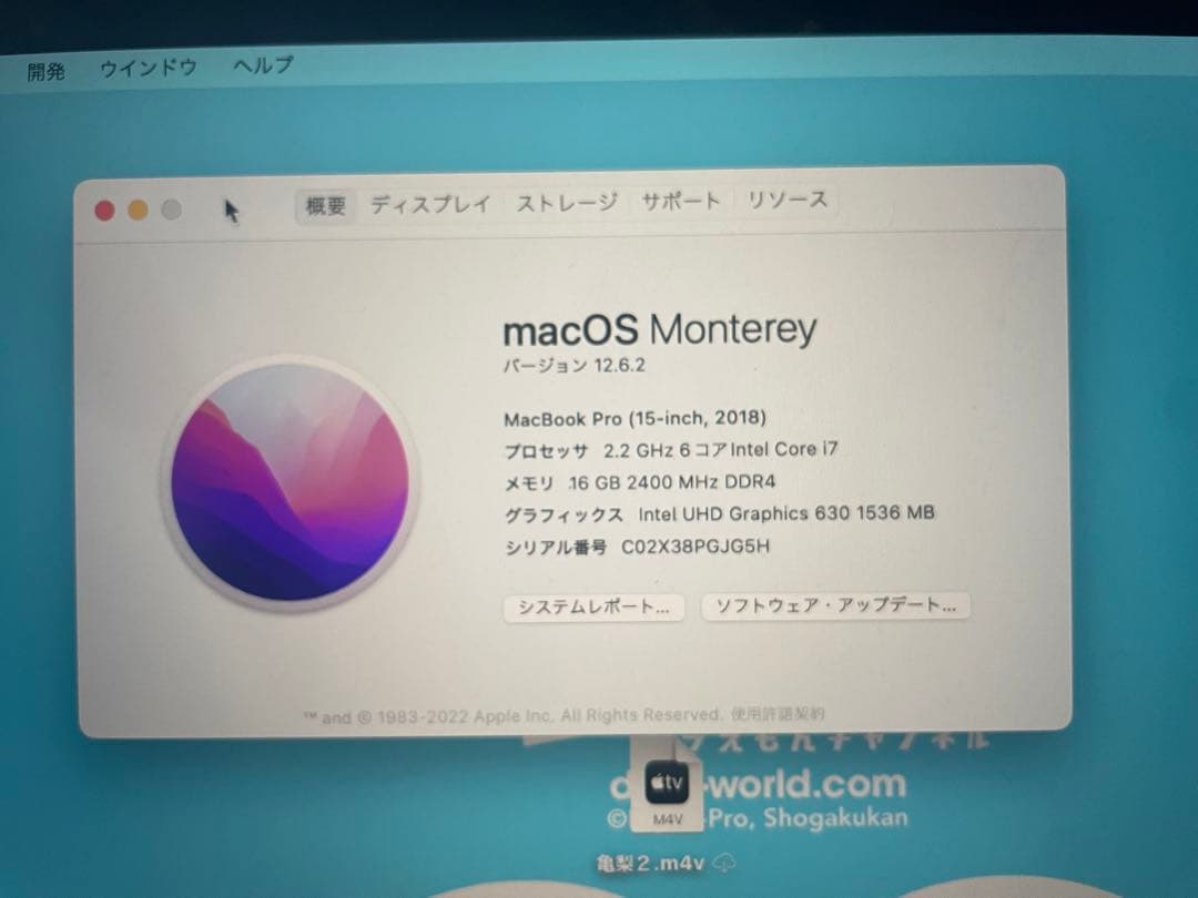 スマホ・タブレット・パソコン APPLE MacBook Pro MACBOOK PRO MR932J/A