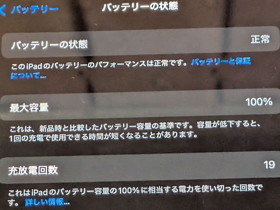 Apple iPad (A16) ブルー 最大容量100%　付属品多数