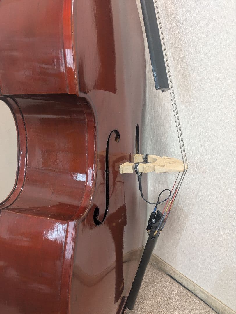 コントラバス　カルロジョルダーノ　SB100