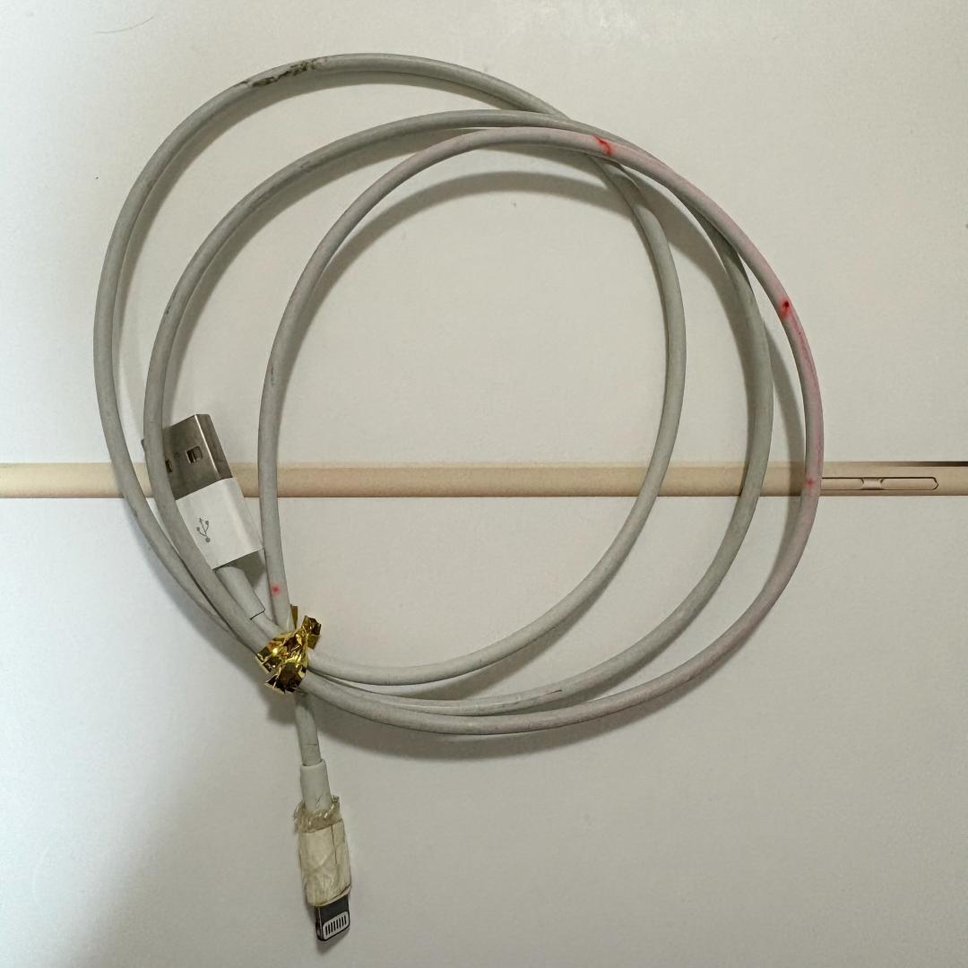 Apple iPad Air2 Wi-Fi 128GB ゴールド 箱・付属品付き