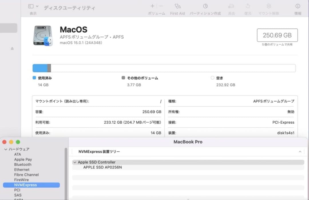 n*a様 （訳アリ品）Apple MacBook Pro A2159 13.3イ