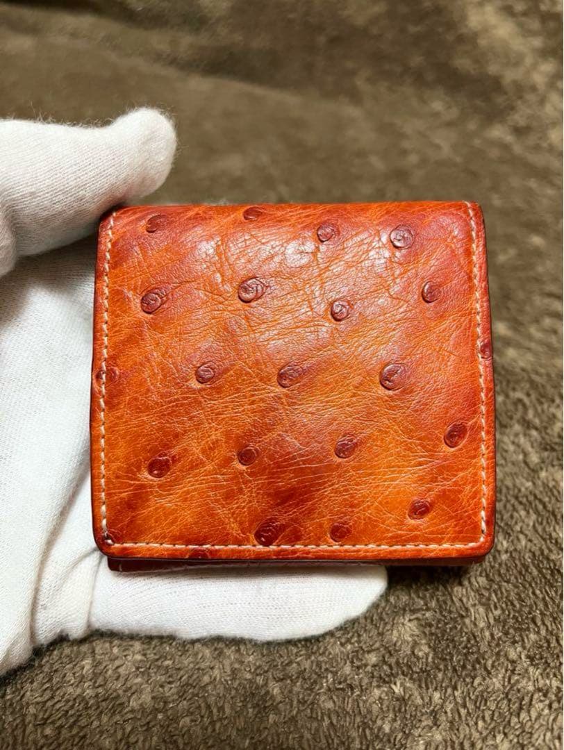 GANZO ケース　オーストリッチ　オレンジ