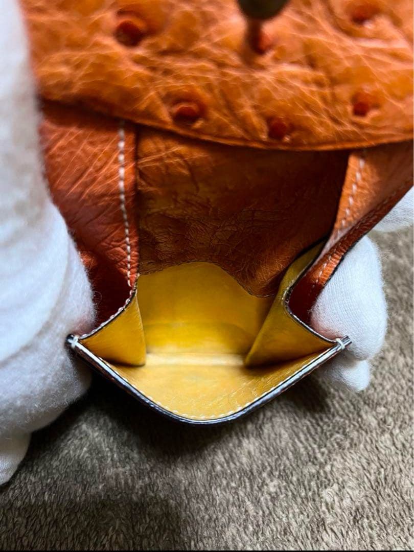 GANZO ケース　オーストリッチ　オレンジ