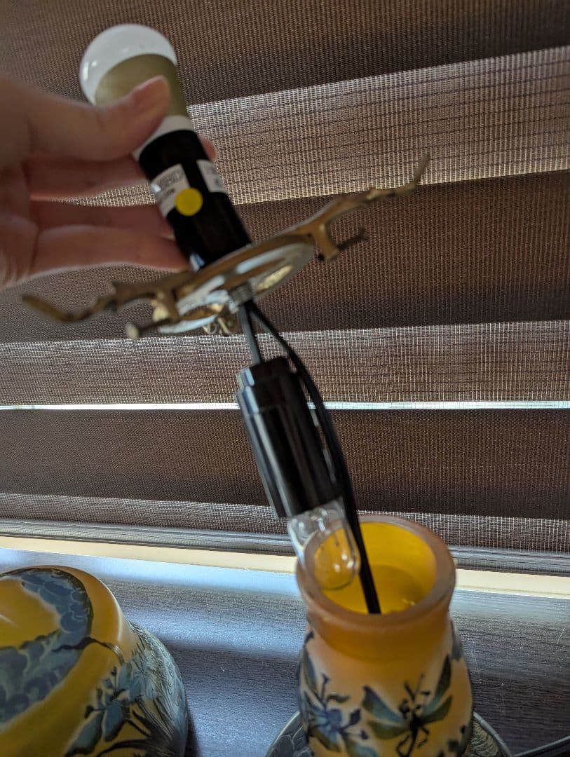 ◎◎ハニー1206です◎◎