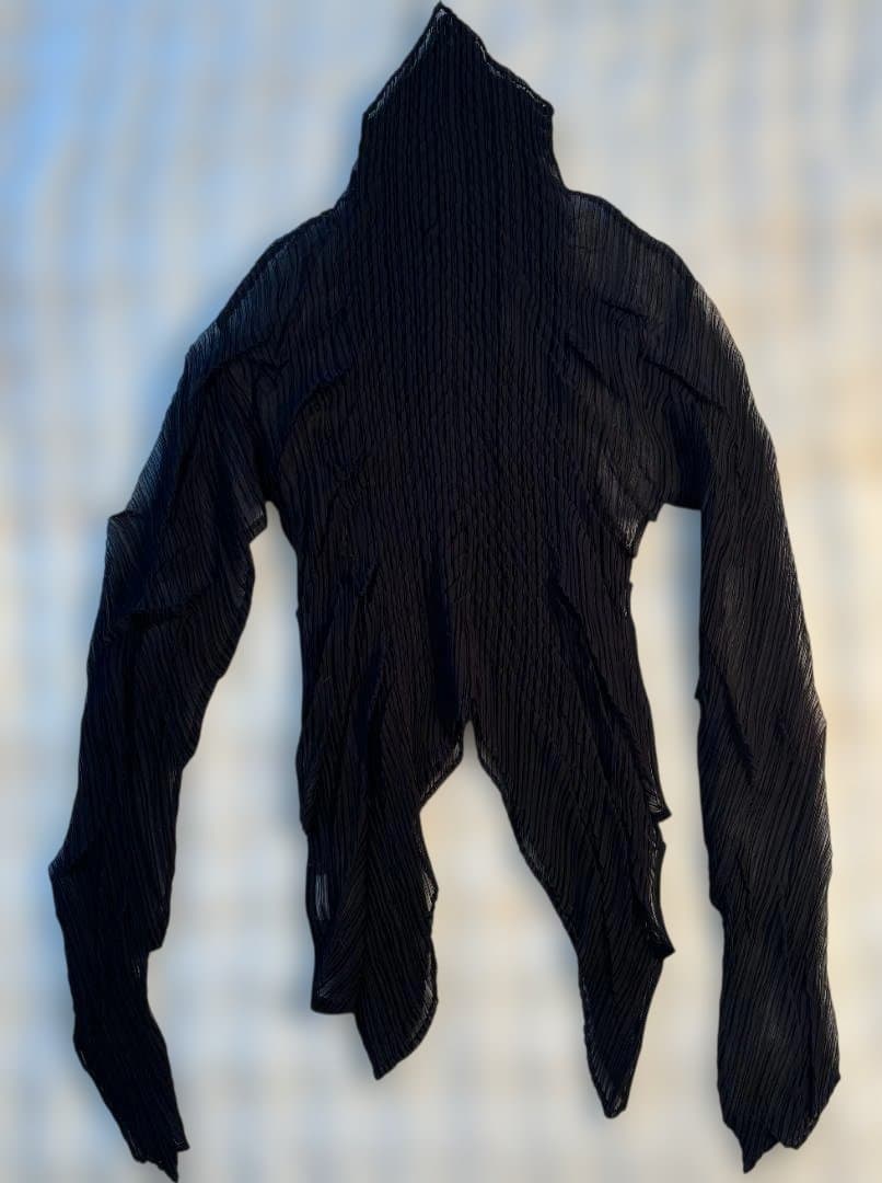 [希少] ISSEY MIYAKE 高級感あふれる波状 プリーツ トップス