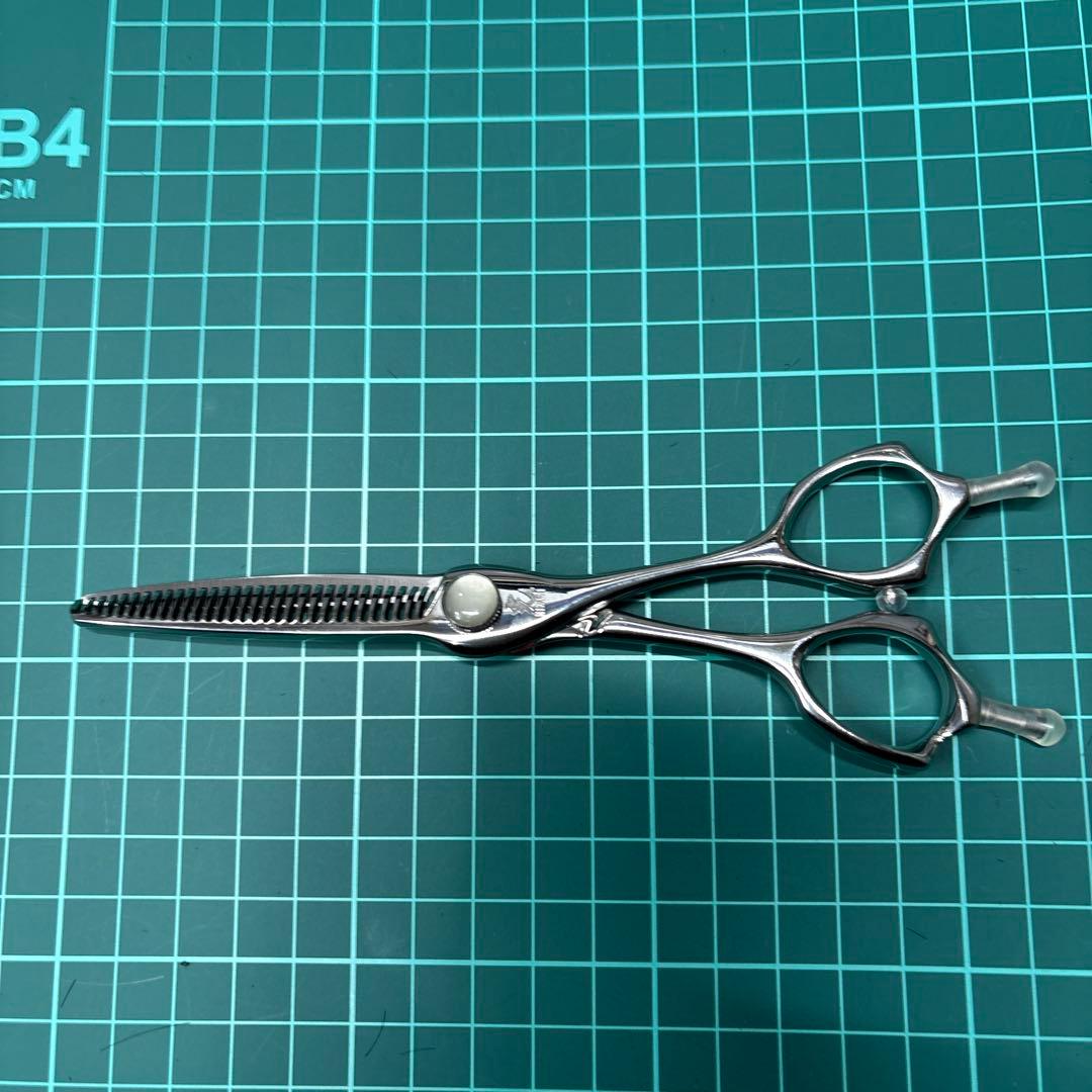 早い者勝ちヒカリシザーcevo760