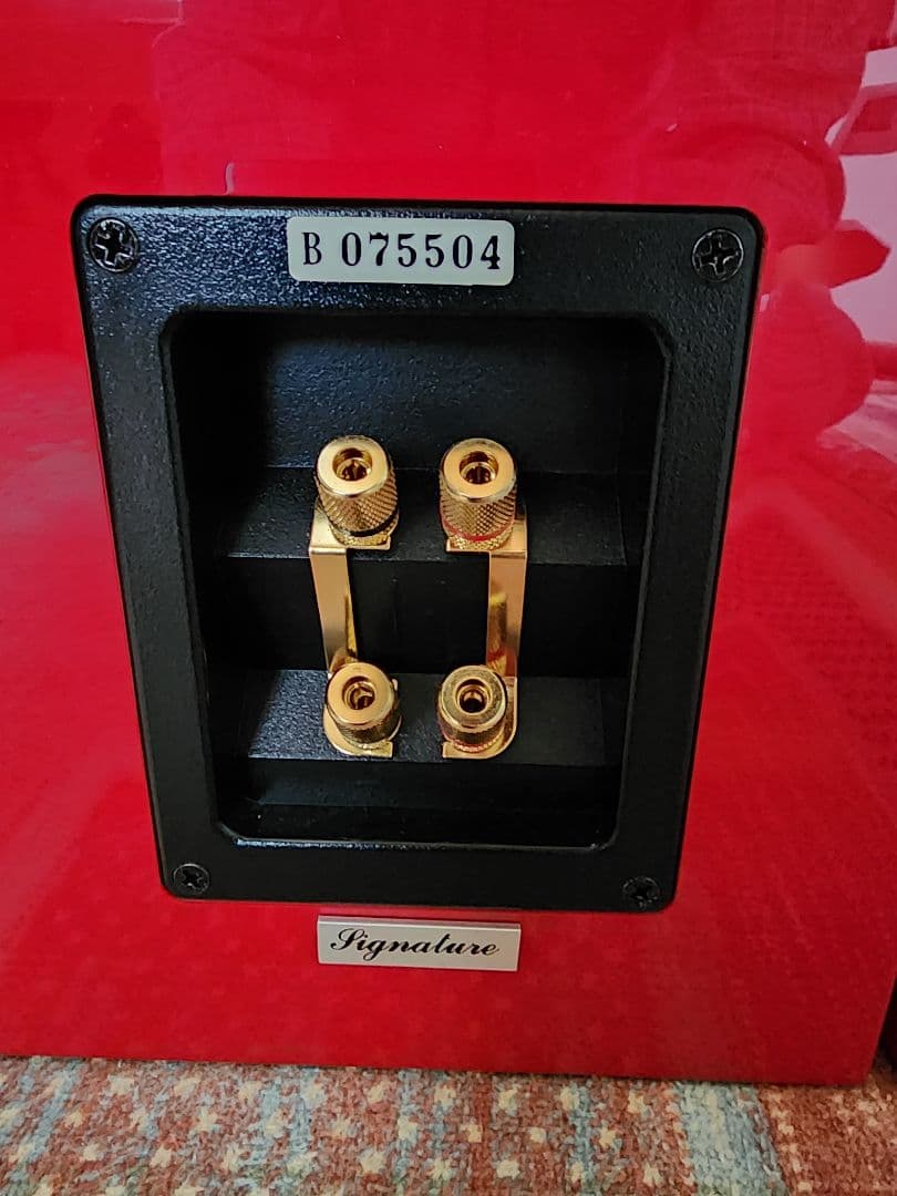 USHER S-520 Piano F-Red スピーカー