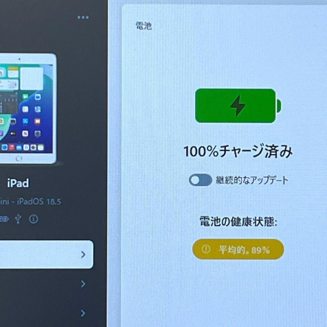 【良品】iPad mini 第5世代 cellular SIMフリーモデル㉗