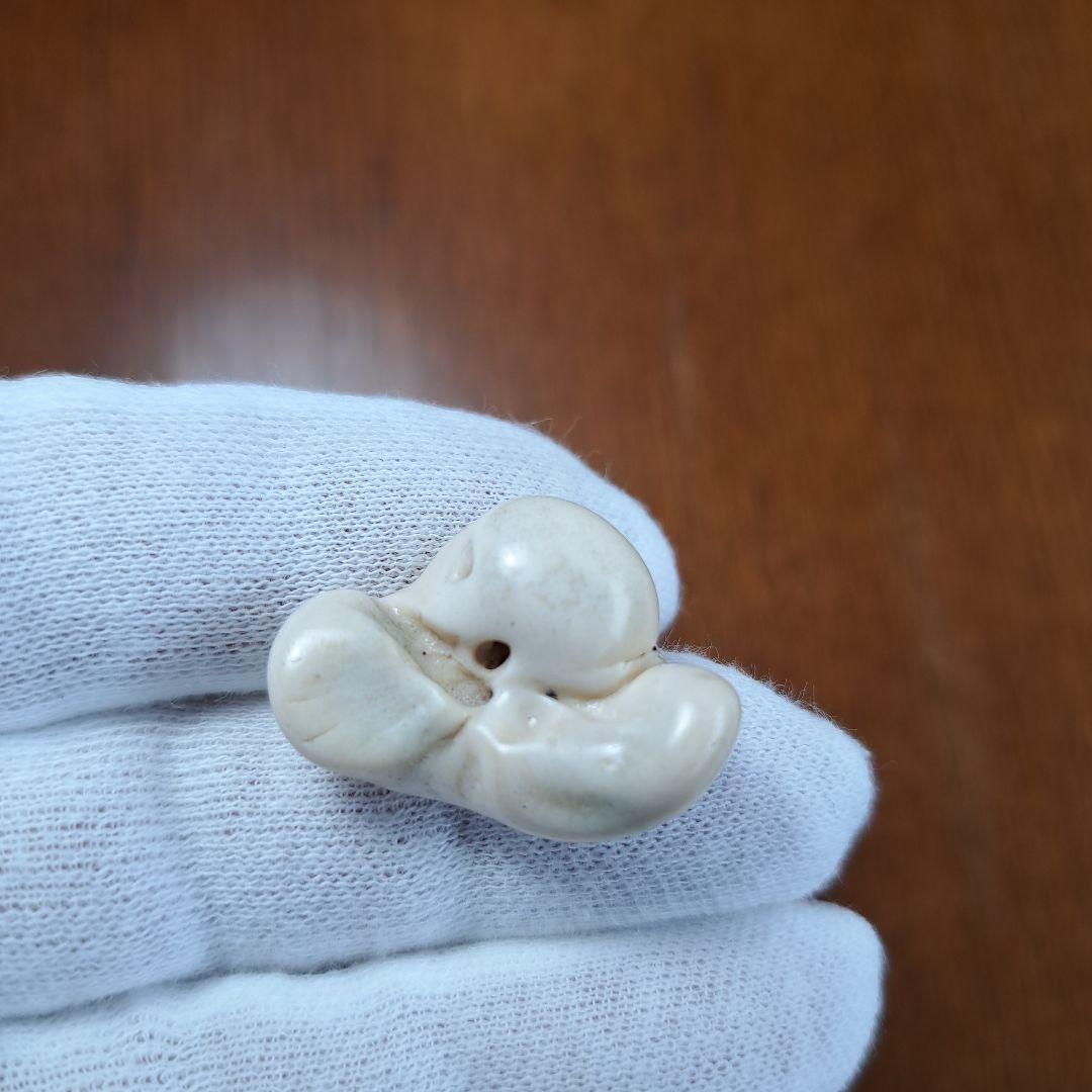 イルカの耳骨【大きさ2.8㎝】