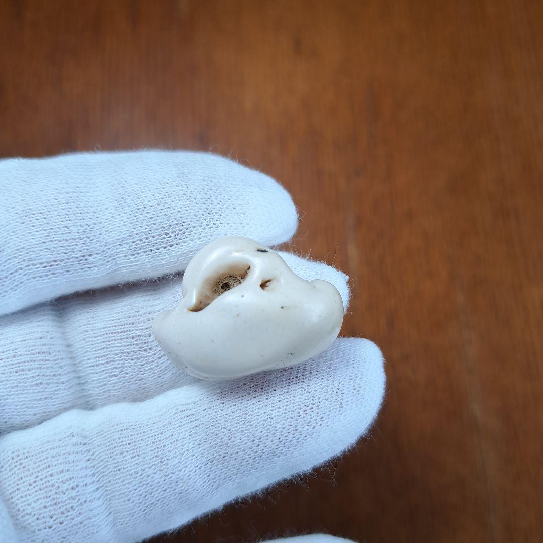 イルカの耳骨【大きさ2.8㎝】