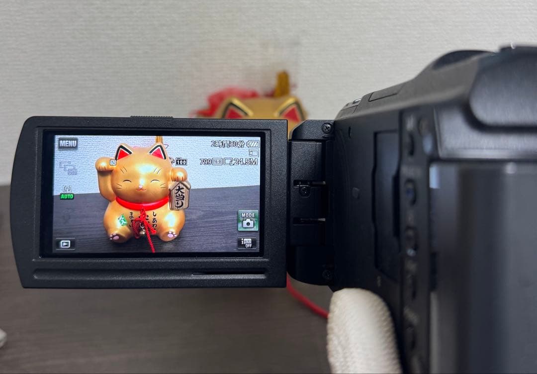 SONY HDR-PJ800 ビデオカメラ ブラック