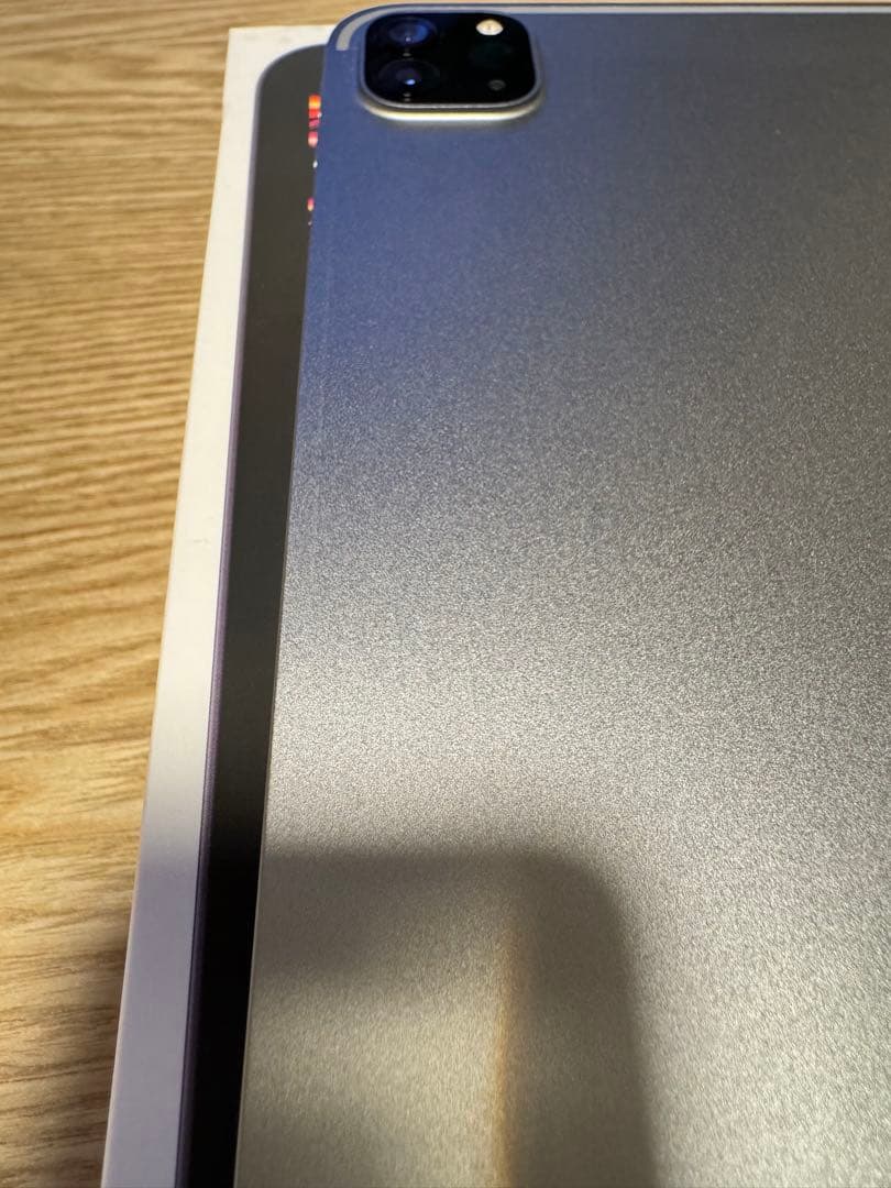 iPad Pro11インチ第4世代 ApplePencil 第2世代替芯 セット