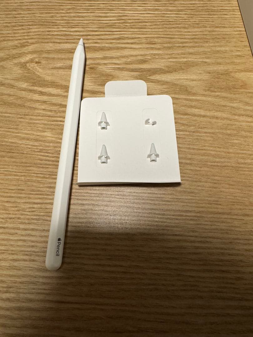 iPad Pro11インチ第4世代 ApplePencil 第2世代替芯 セット