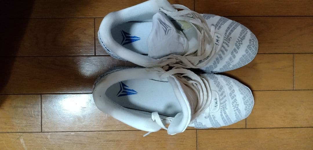 シューズ(男性用) Nike Ja 3 Light Show 27.5cm