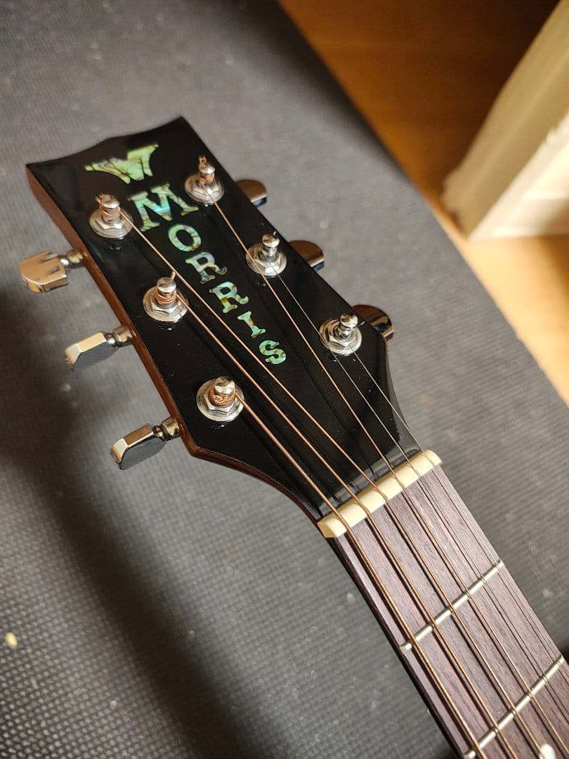 単板トップ＆極虎マホMORRIS G-021 YVL/超美品/専用ケース付