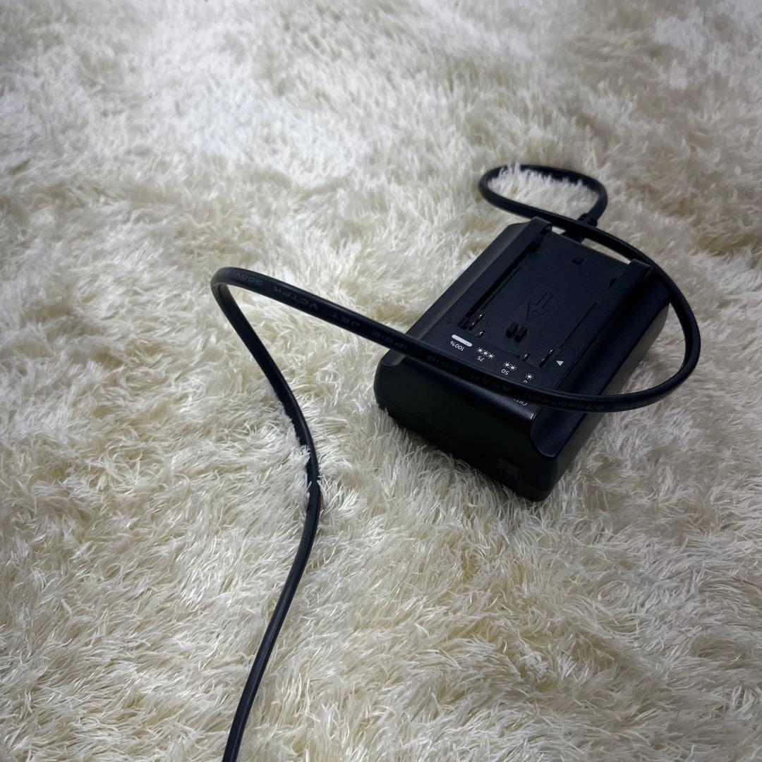 Canon C100 シネマカメラ