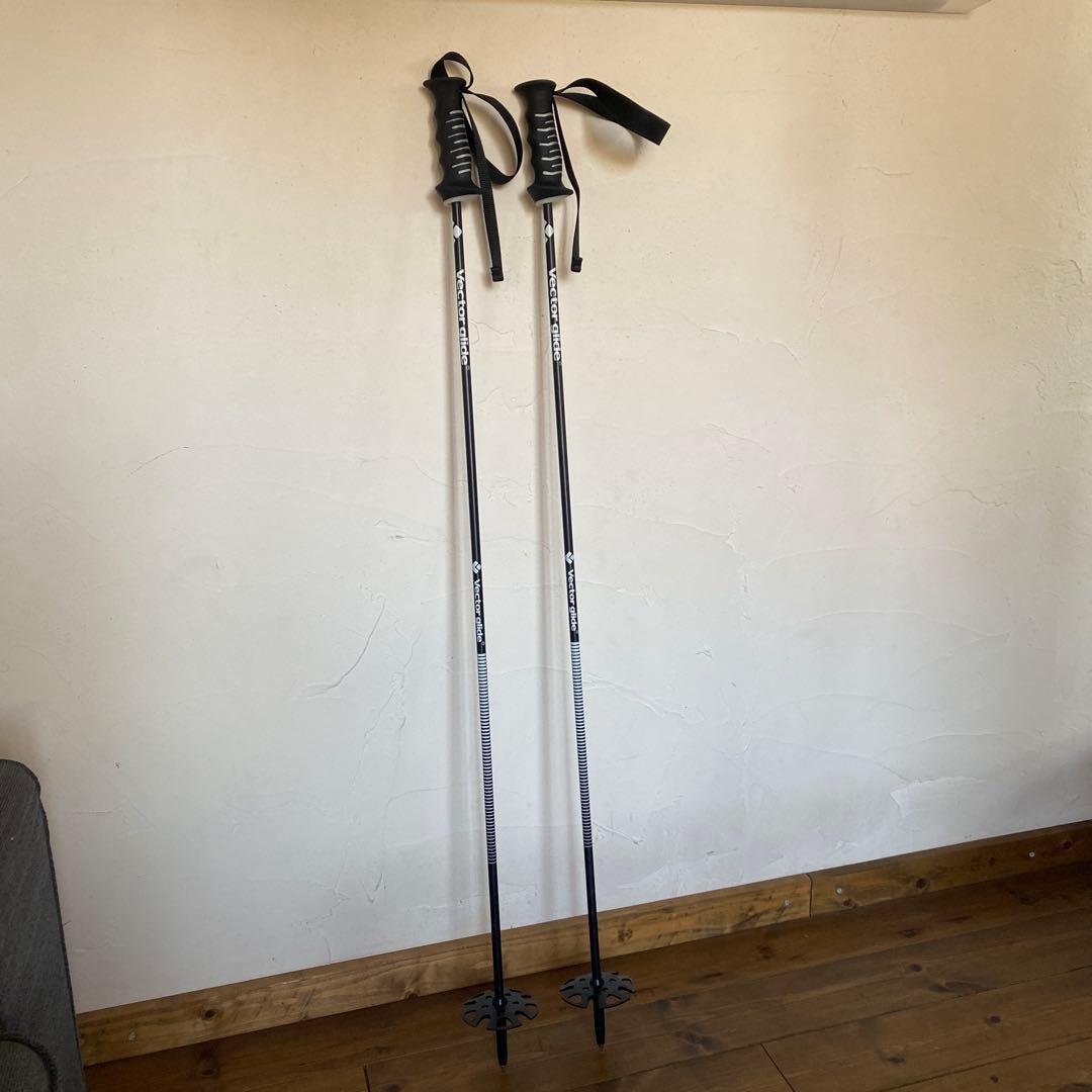 Vector Glide スキー ストック 110cm